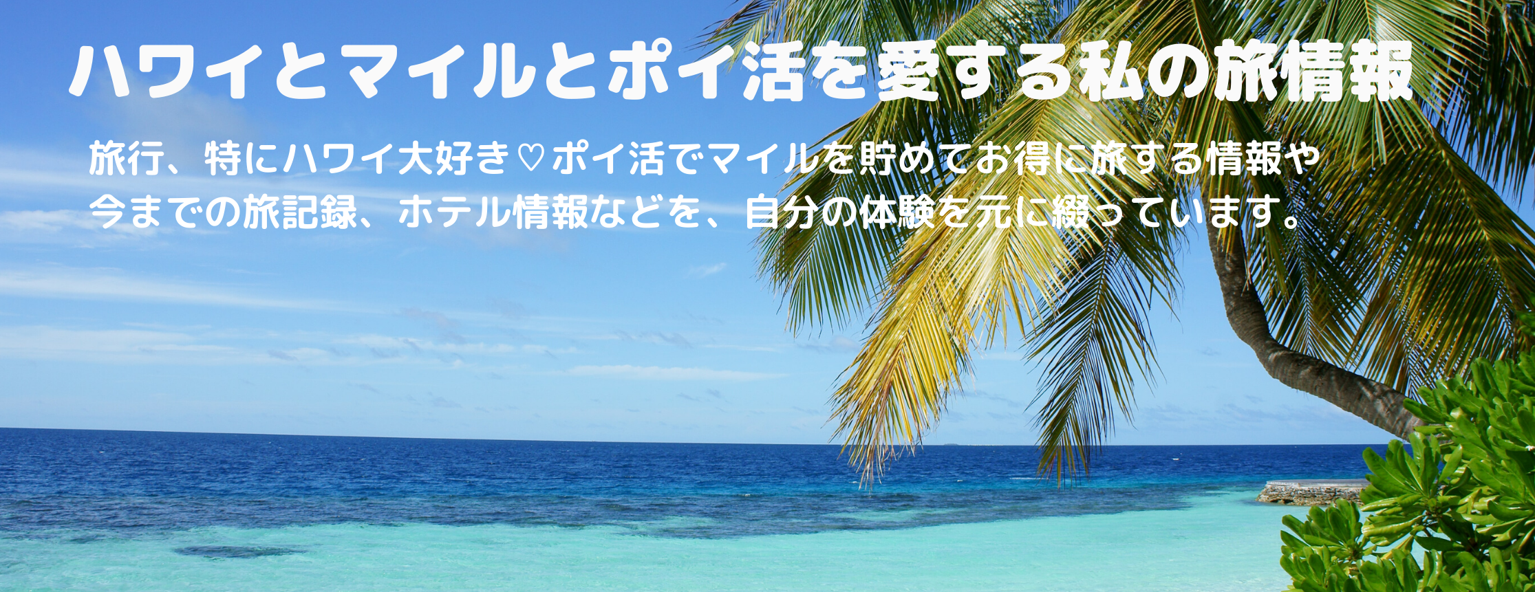 ハワイとマイルとポイ活を愛する私の旅情報